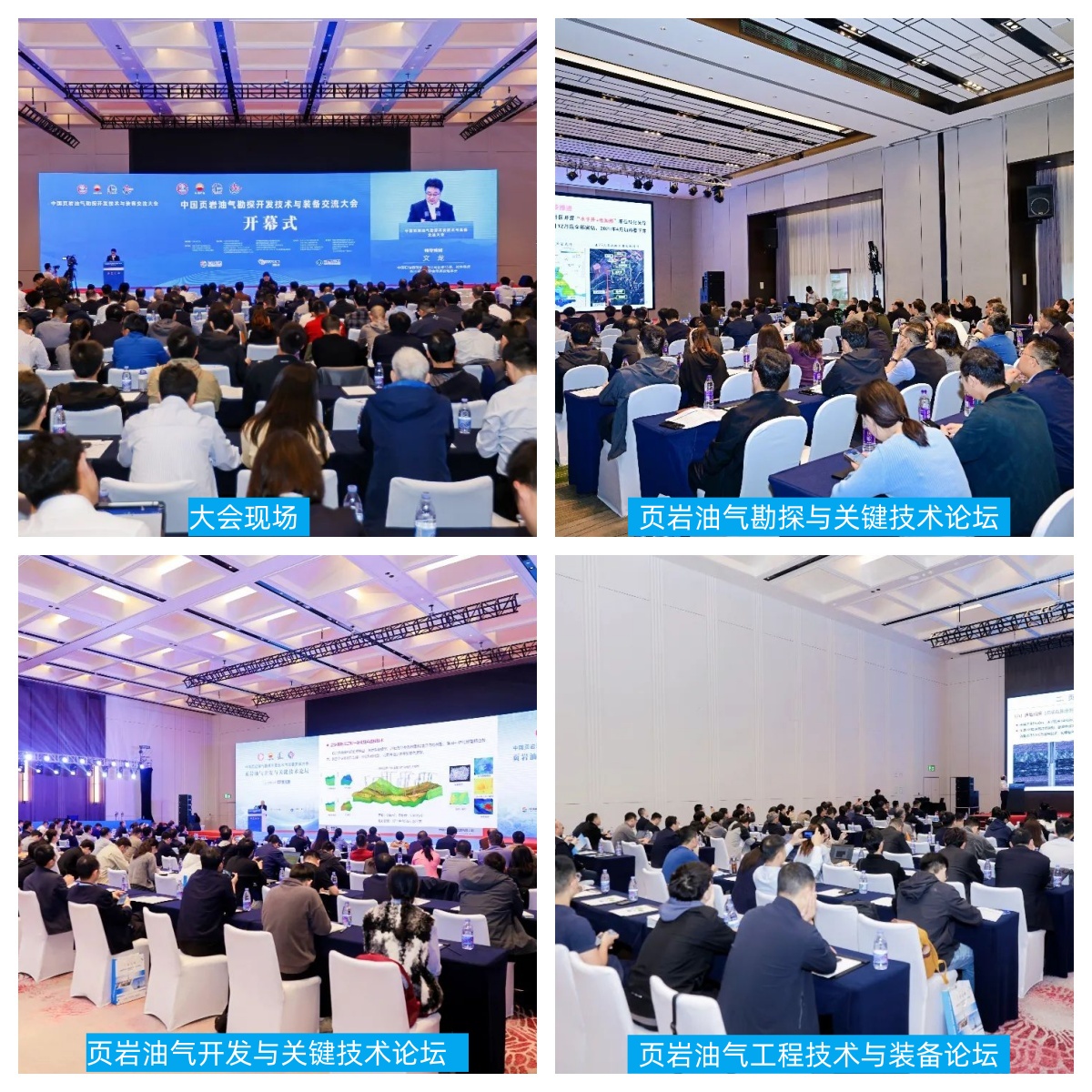 合图.jpg 合图.jpg